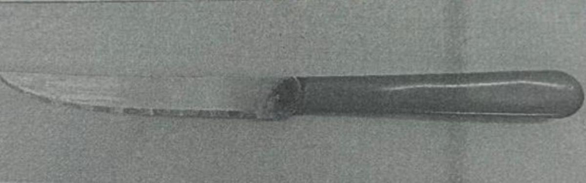 Imagen del arma homicida, un cuchillo de cocina de 20 centímetros.