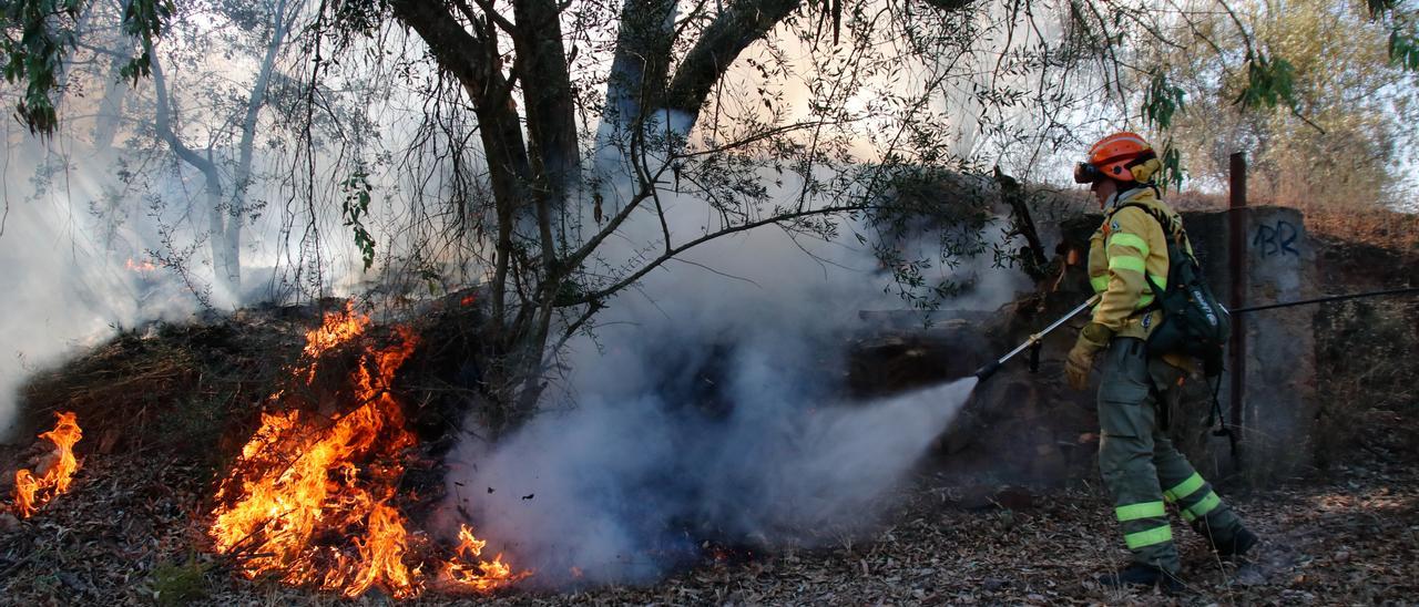 Un bombero del Infoex apaga las llamas del incendio que se produjo este martes junto al Parque del Príncipe.