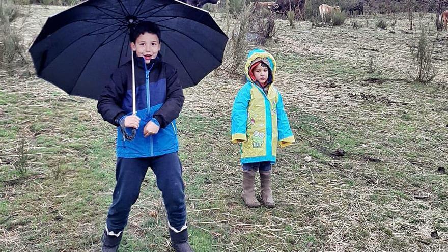 Los niños salen al campo con su madre, para cuidar al ganado.