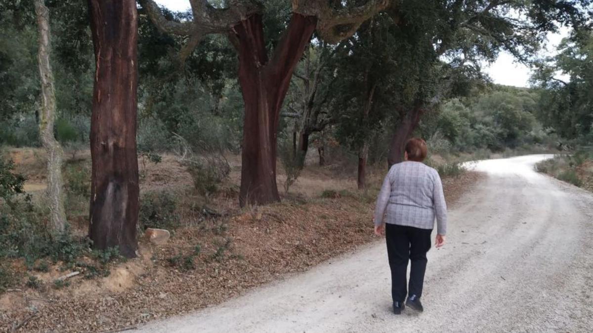 Alcornocal de Cerezal de Aliste, en el que se invertirá este año. | Ch. S.