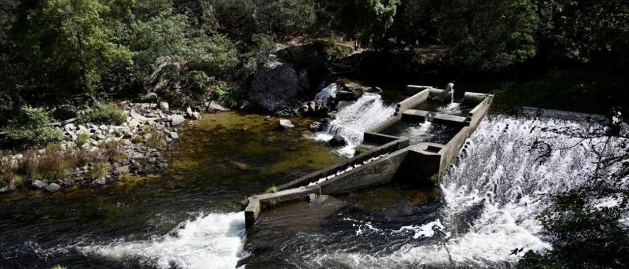 La presa del Lérez, en Monteporreiro, hace unos días.   | // RAFA VÁZQUEZ