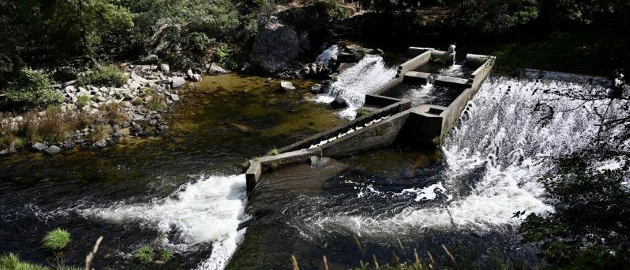 Estado del río Lérez durante esta semana en la presa de Monte Porreiro.