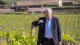 La família Ferrer invertirà en vins a EUA, Mèxic i Brasil després de vendre Freixenet