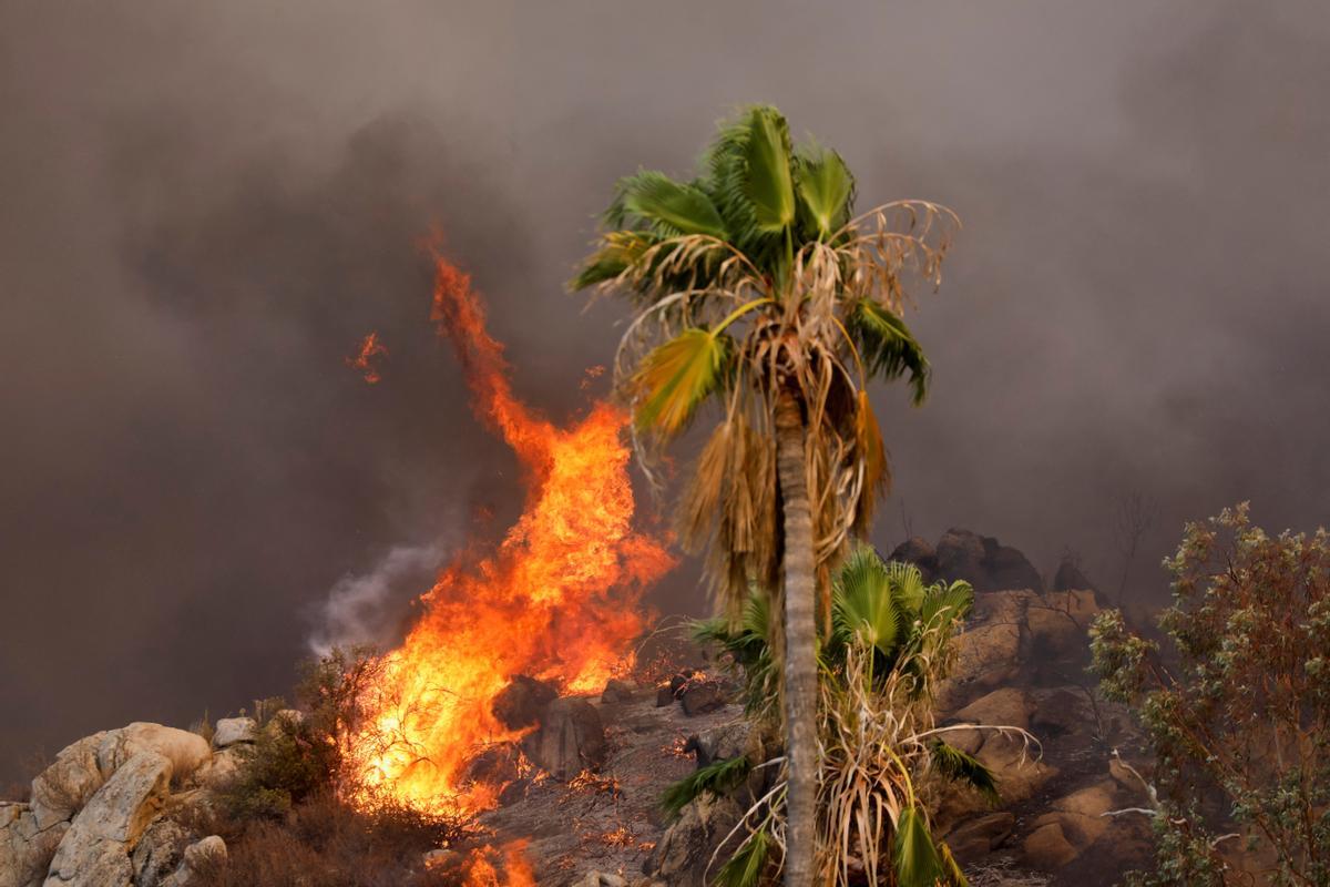 Lucha sin tregua contra el fuego en Hemet (California)