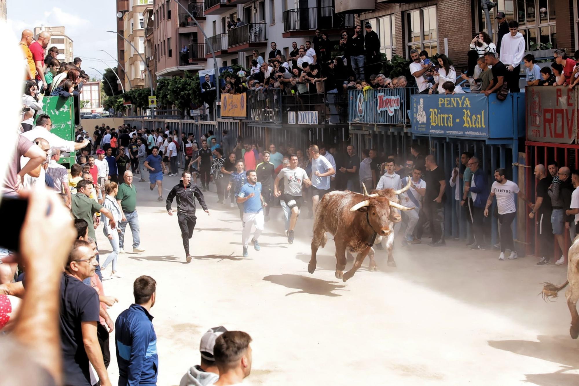 Las imágenes de la séptima jornada de las fiestas de Sant Pasqual del 2023 en Vila-real