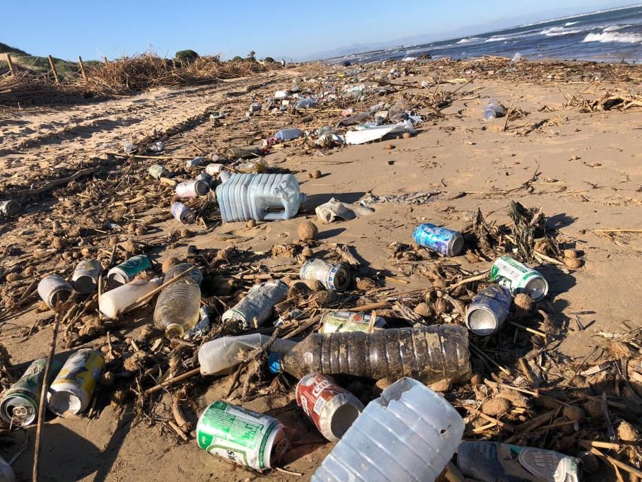 Guardamar recoge mil toneladas de residuos arrastrados por el río Segura al mar tras la avenida
