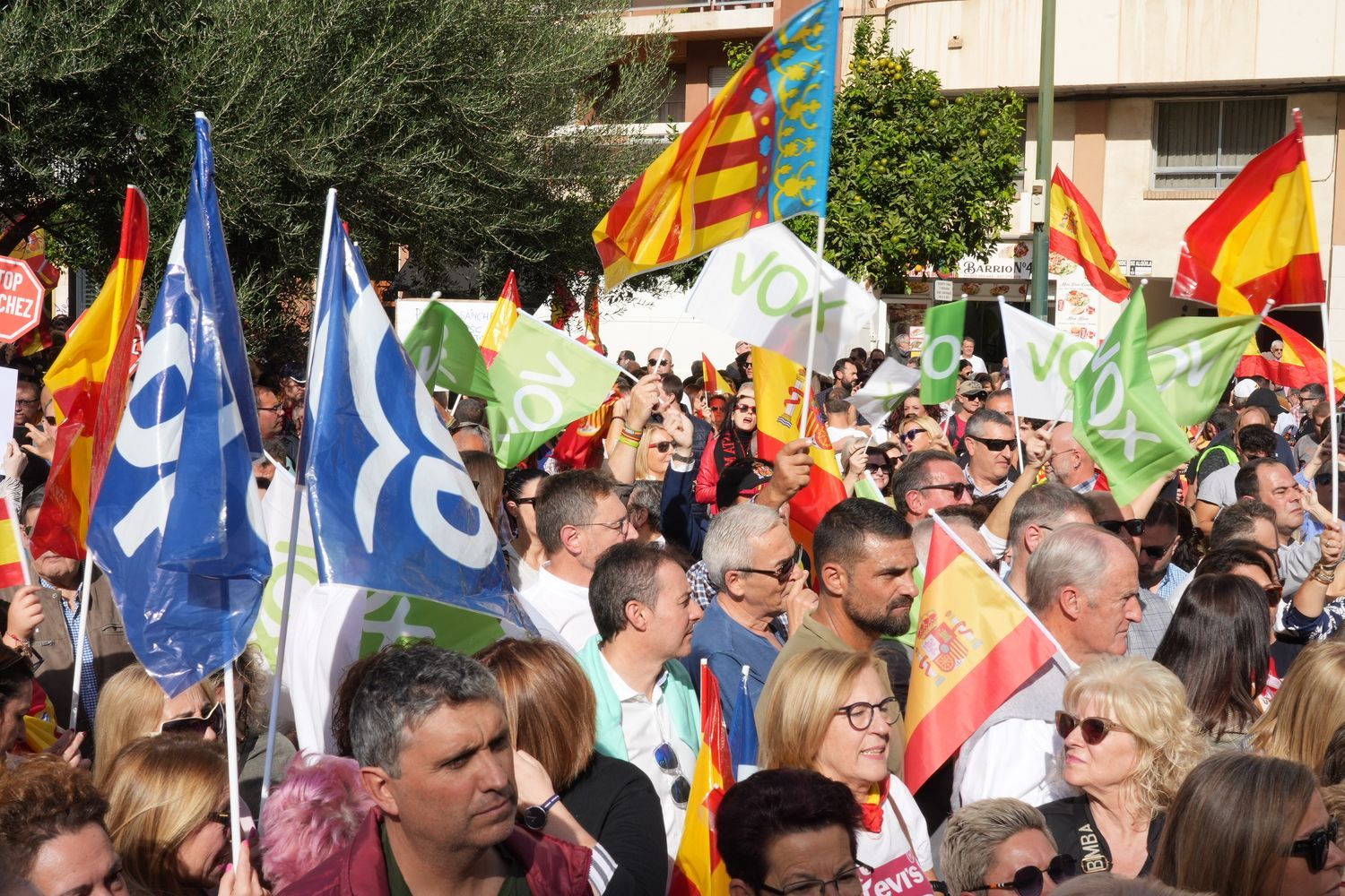 Las imágenes de la manifestación contra la amnistía en Castelló