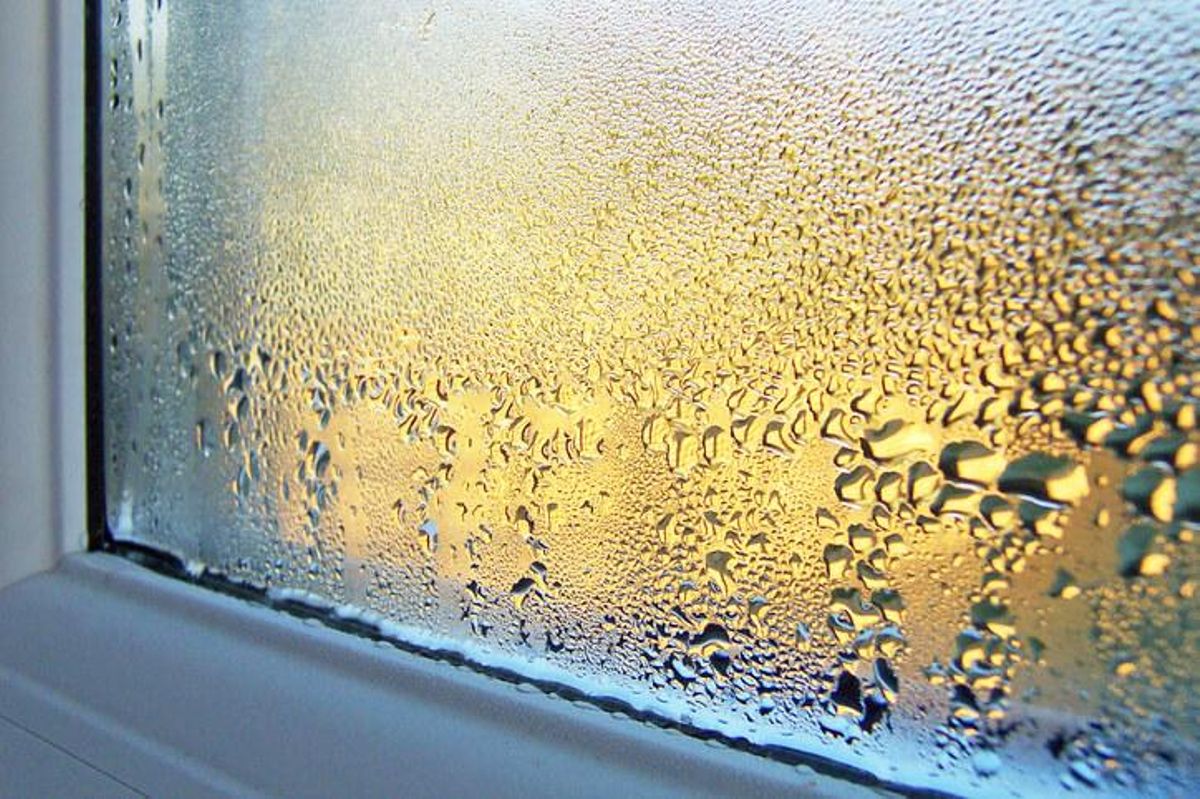 Di adiós a la condensación y a la humedad dentro de casa: el secreto japonés que tienes que hacer con la ventana