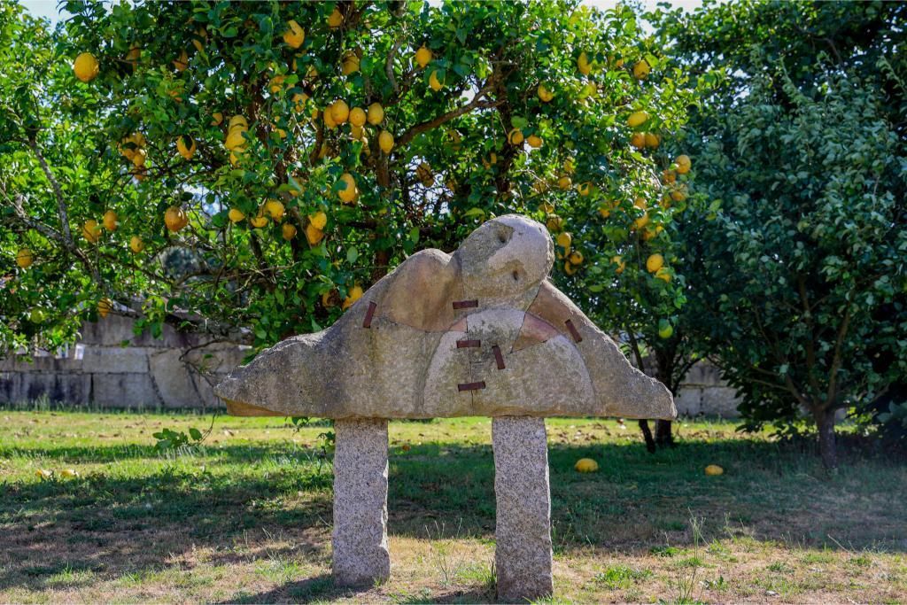 Así es el territorio de artista de Francisco Pazos
