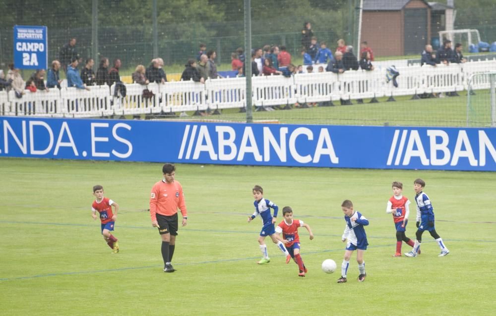 La ciudad deportiva recibe a 206 equipos de 81 clubes - 94 compiten en categoría prebenjamín y 112 en benjamín