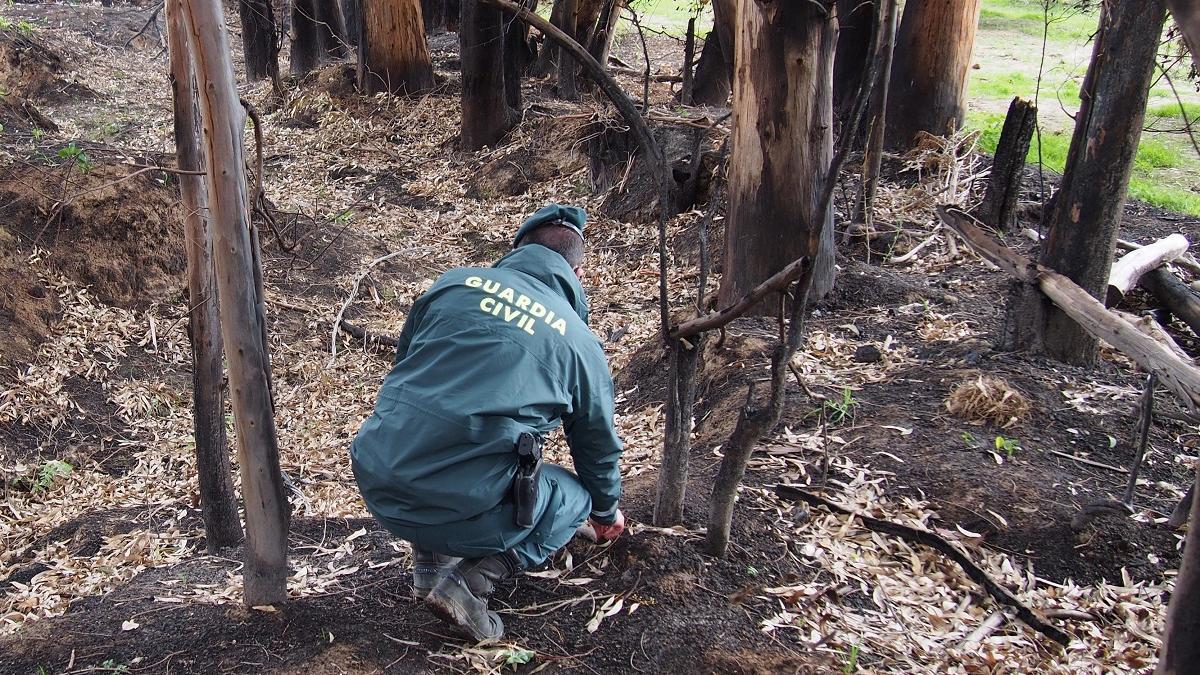 Un agente del Seprona investiga sobre el terreno el origen de un incendio forestal, en una imagen de archivo.