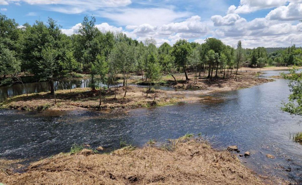 Aspecto del río, con las riberas saneadas, aguas bajo dle puente. | J. A. G.