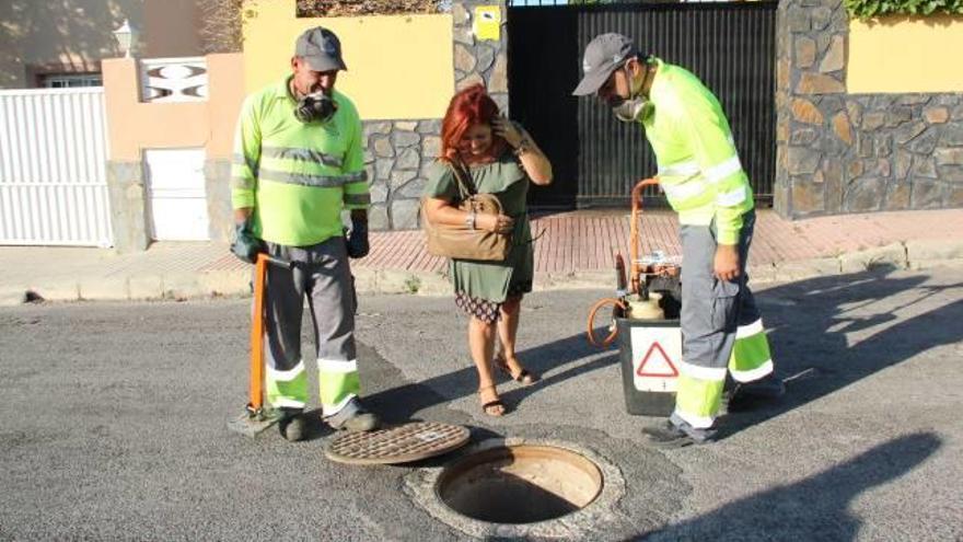 La edil mira una alcantarilla tras la desinfección.