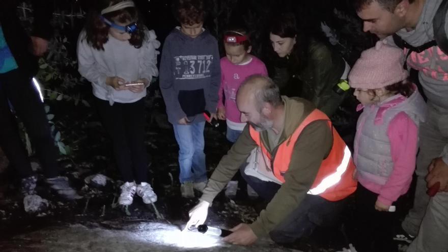 Visita nocturna a los petroglifos de A Pedreira, en Ventosela. / A. Pinacho