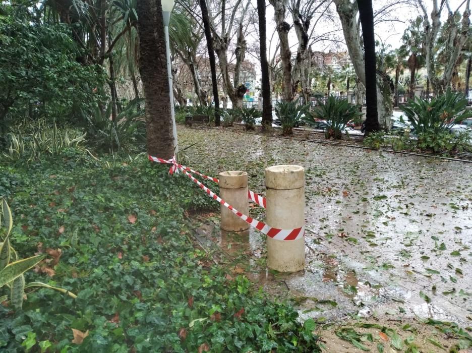 Daños en el Parque de la granizada.