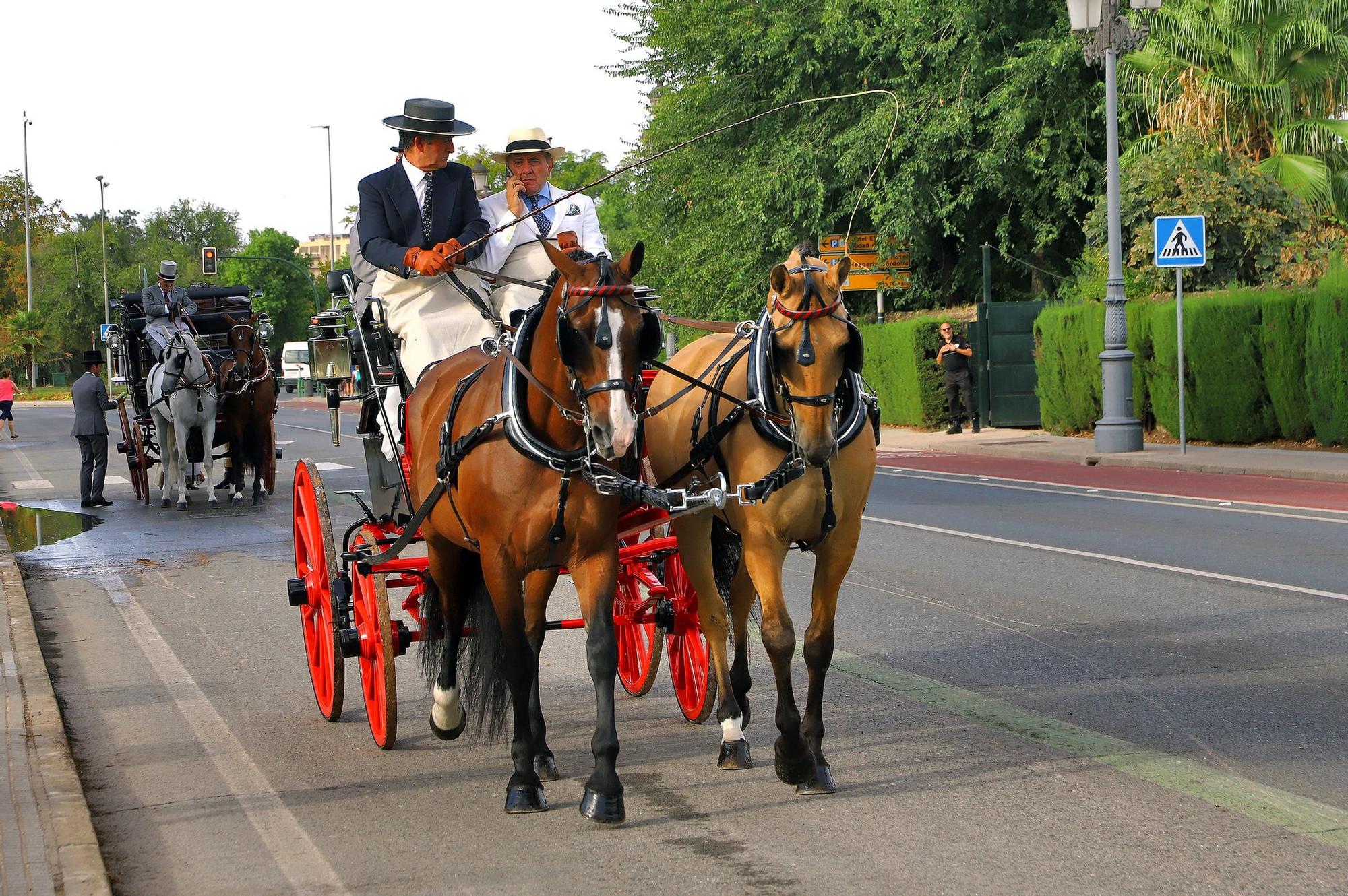 El carruaje reina en Córdoba