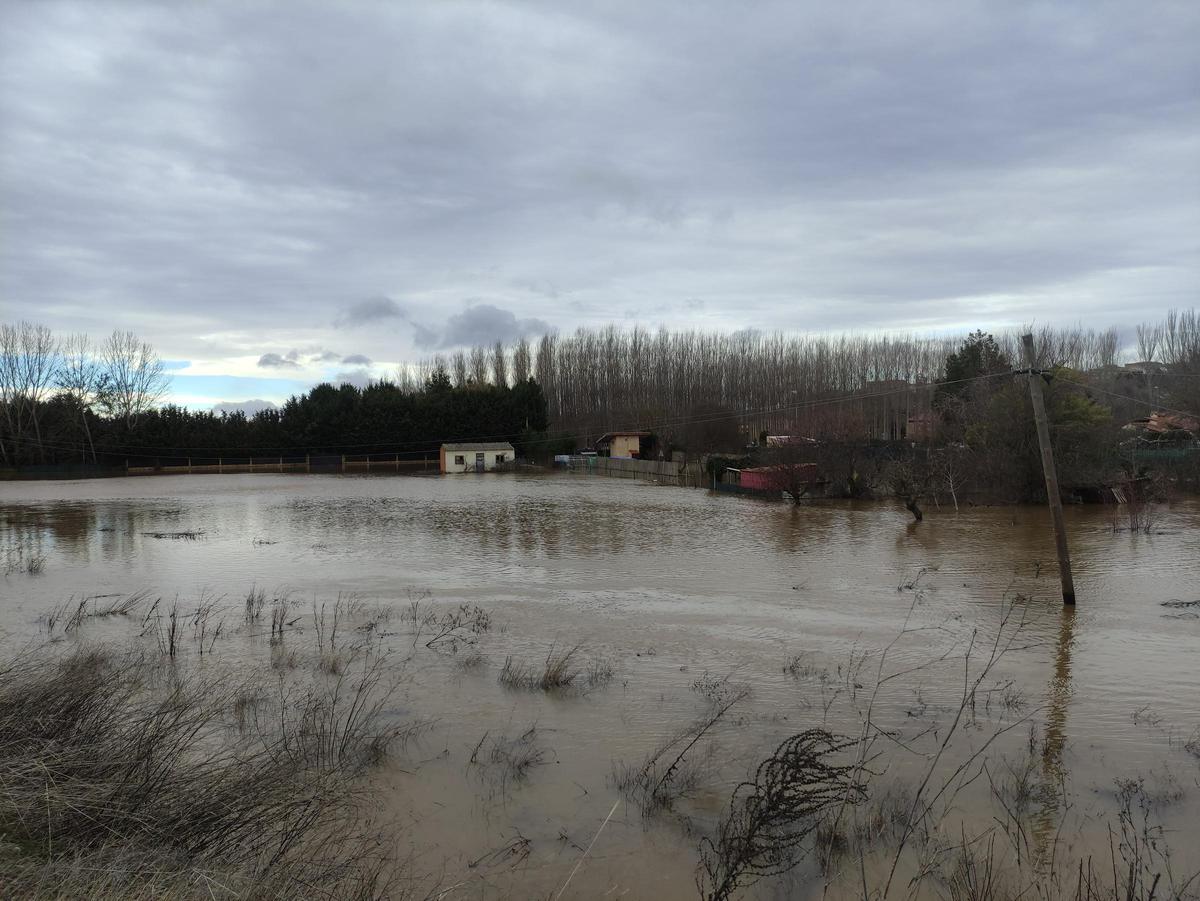 GALERÍA / El río Órbigo desbordado en Benavente, en imágenes GALERÍA / El río Órbigo desbordado en Benavente, en imágenes