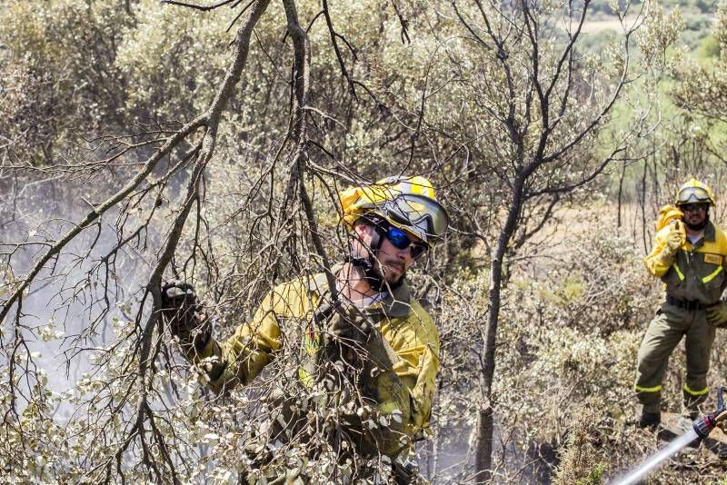 Fotogalería del incendio de las Cinco Villas