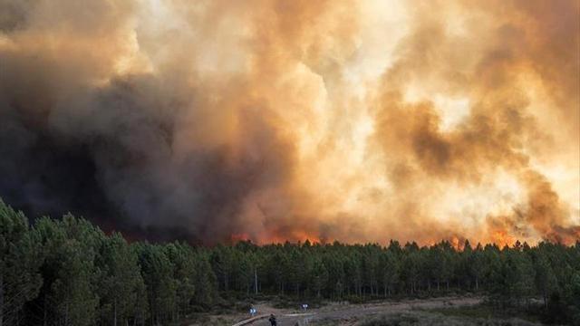 Más de 1.300 bomberos actúan en seis incendios en Portugal