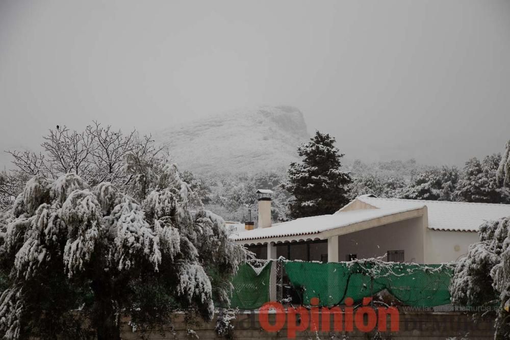 Nieve en las Fuentes del Marqués de Caravaca