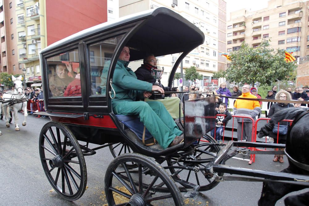 Sant Antoni en Valencia 2017