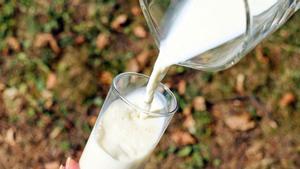 Imagen de archivo de un vaso de leche