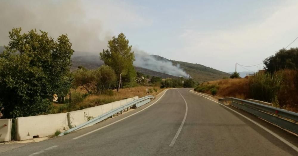 Incendio forestal en Llutxent