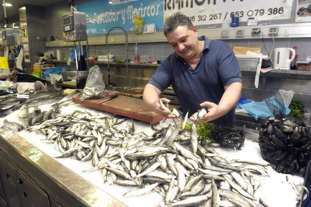 Pocas sardinas en A Coruña en vísperas de San Juan