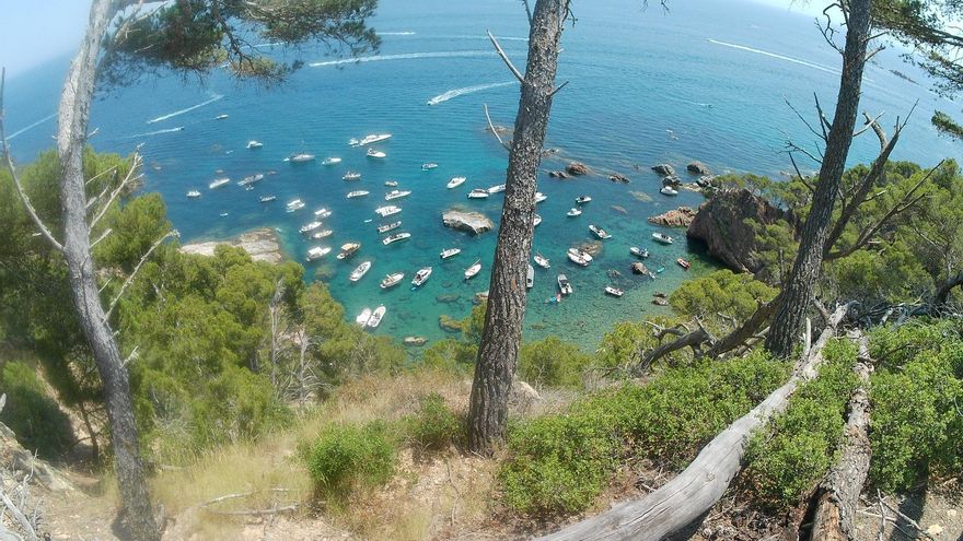 SOS Costa Brava denuncia una nova ocupació massiva i fondejos il·legals sobre posidònia