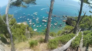 SOS Costa Brava denuncia una nova ocupació massiva i fondejos il·legals sobre posidònia