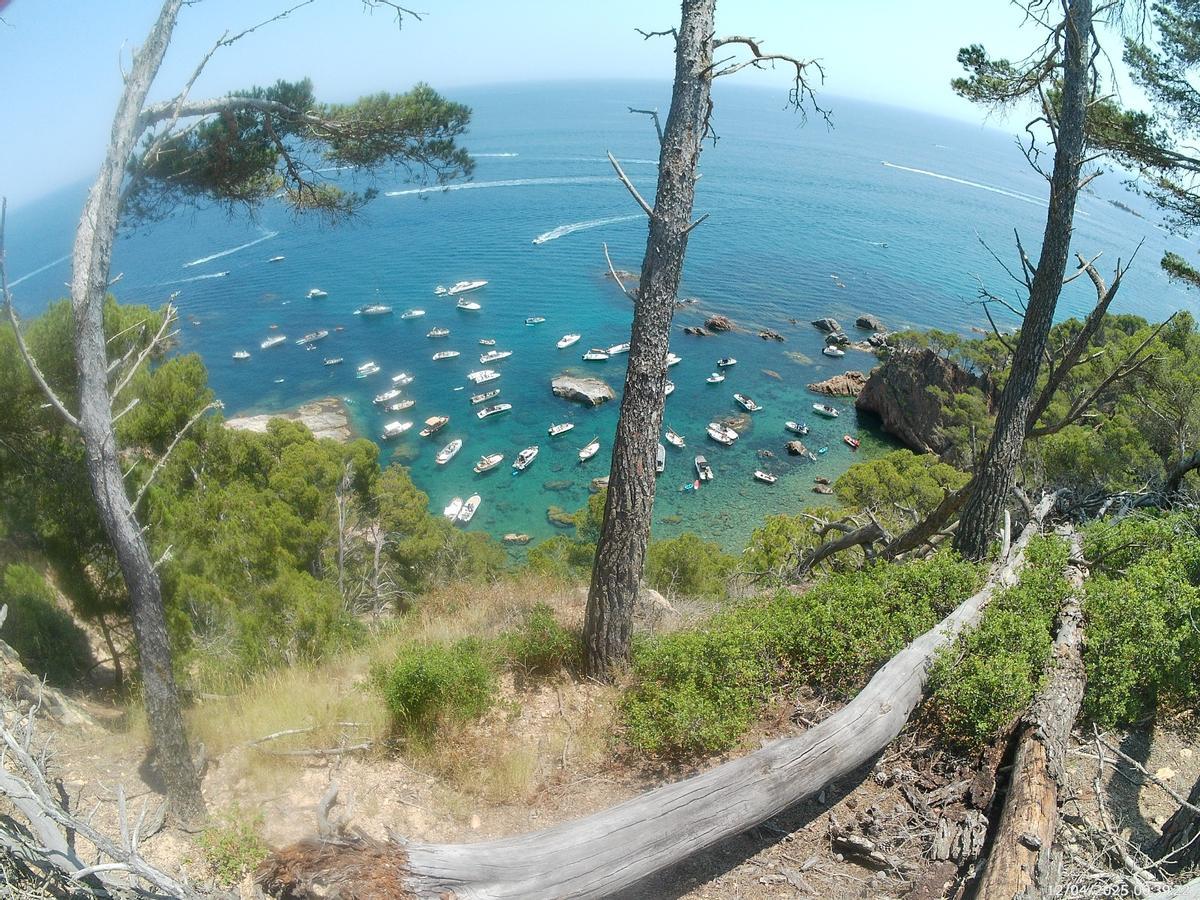 Fondejos il·legals sobre posidònia a l’espai protegit Natura 2000 Cap Roig – Castell
