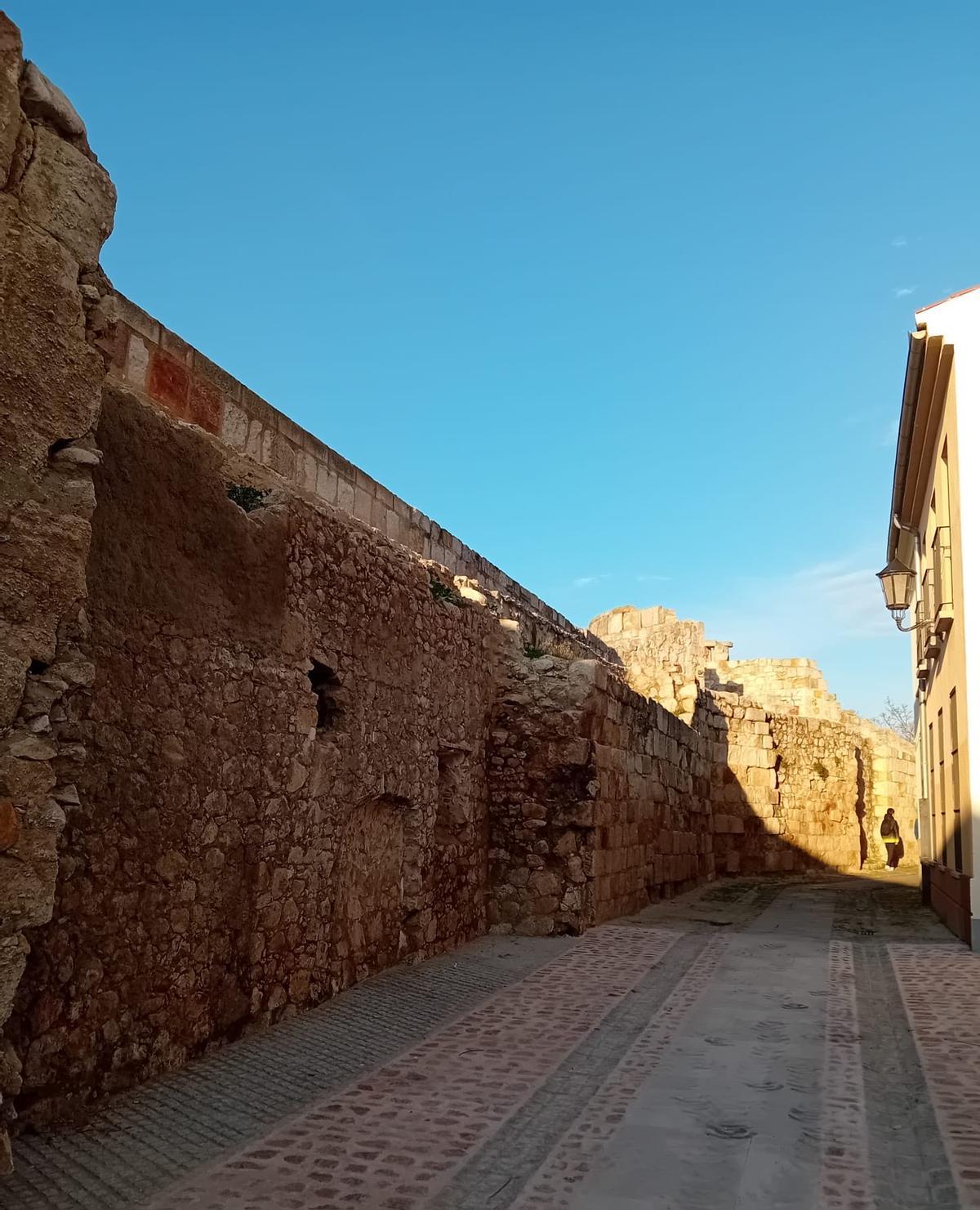 Nueva zona en la muralla zamorana despejada, ¿sabes de cuál se trata?