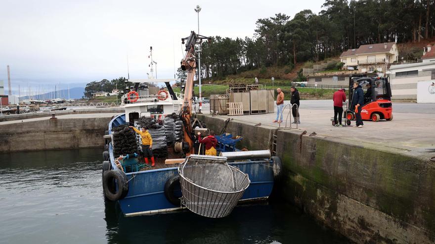 Denuncian etiquetado irregular en conserveras de Mexillón de Galicia