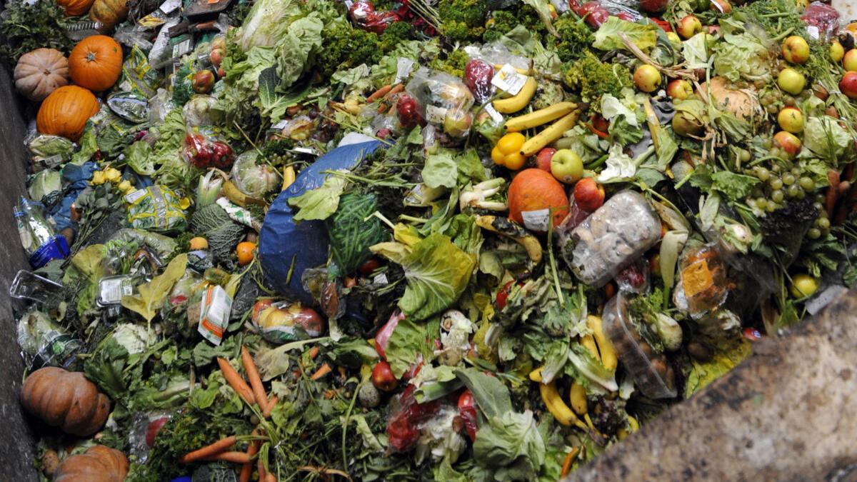 El 40% de los alimentos producidos en el mundo acaba en la basura