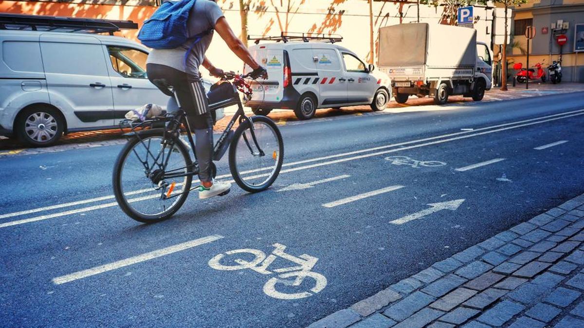 Carril bici en el centro de Santa Cruz.