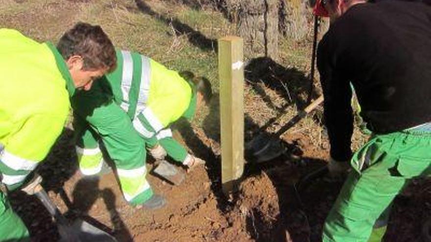 Los alumnos del taller de empleo de Villaralbo cavan un hoyo.