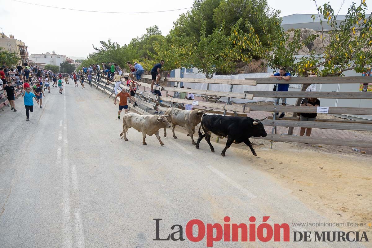 Segundo encierro de la Feria Taurina del Arroz en Calasparra