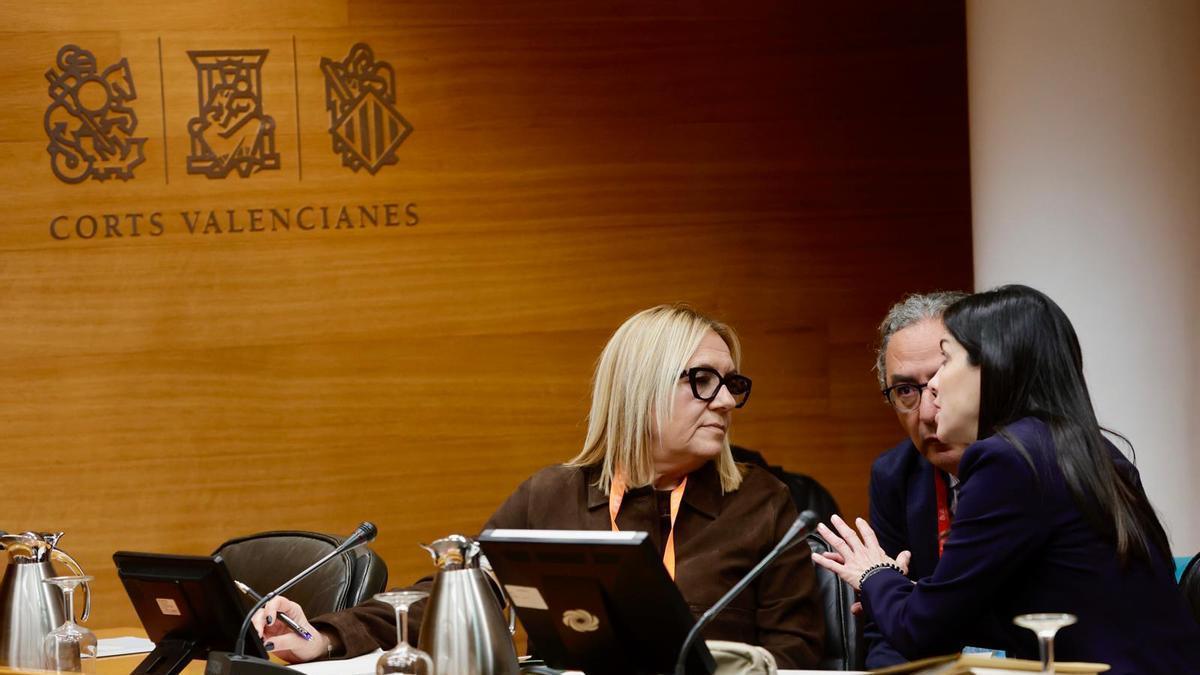 Una asociación alienta en Les Corts la teoría de una conspiración para ocultar víctimas de la DANA