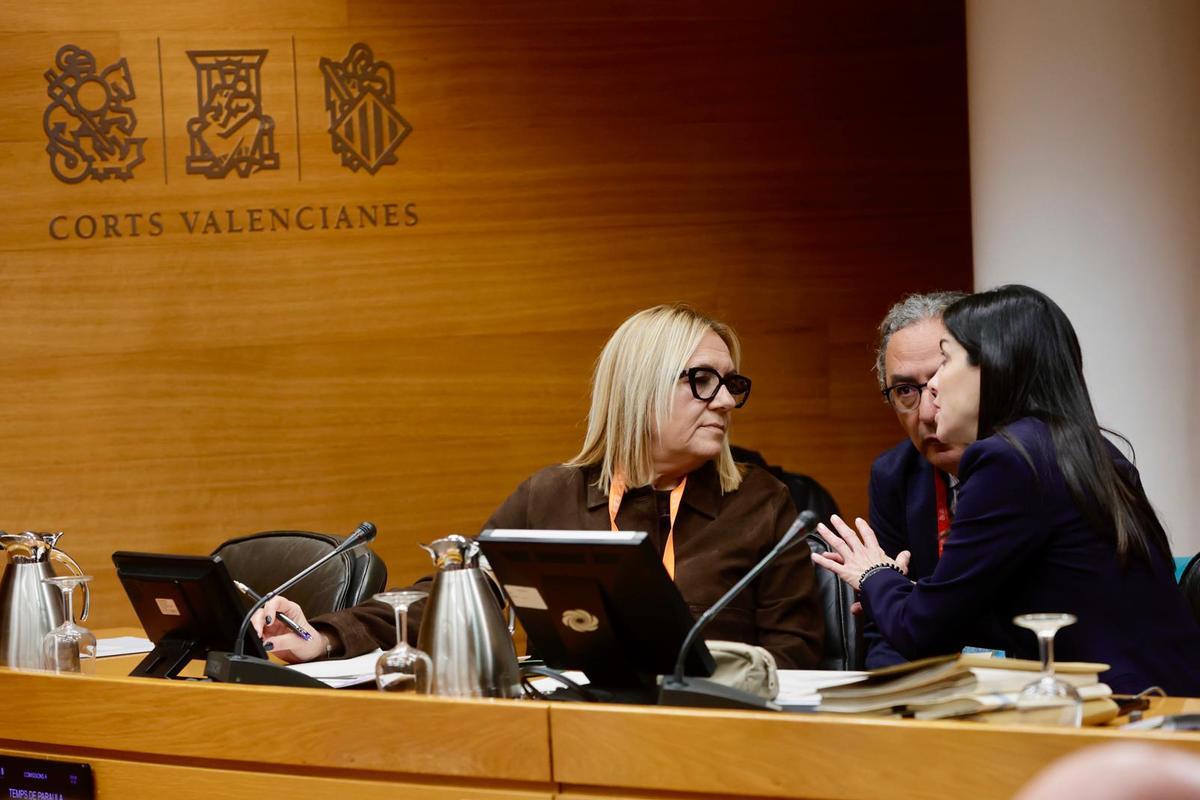 Concepción Cuevas, presidenta de la asociación Liberum, comparece en las Corts.