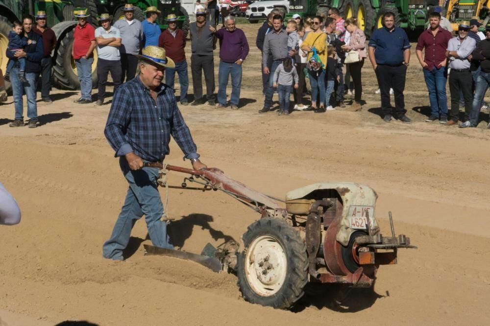 Concurso de lanzamiento de azada y tractores en la