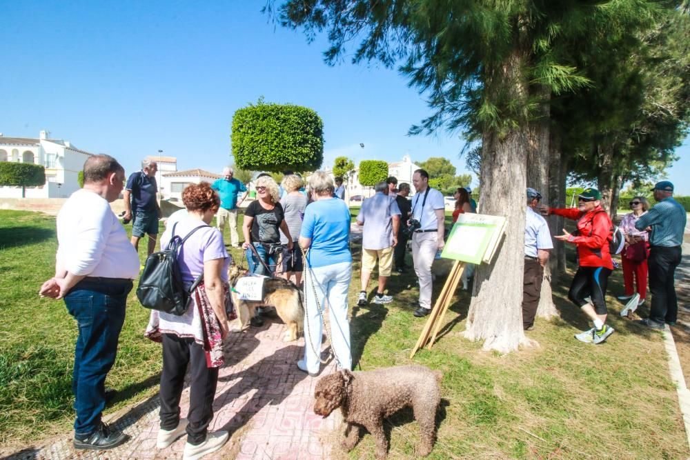 Manifestación en San Miguel de Salinas por la segu