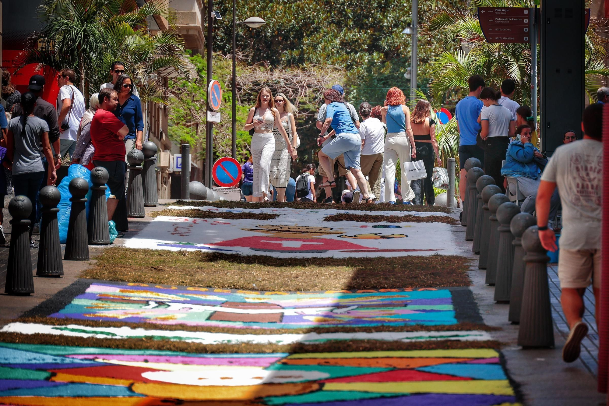 Elaboración de alfombras del Corpus en Santa Cruz