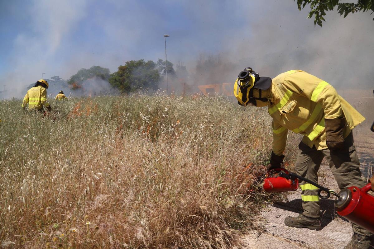 Fuego controlado en Las Quemadas y Rabanales