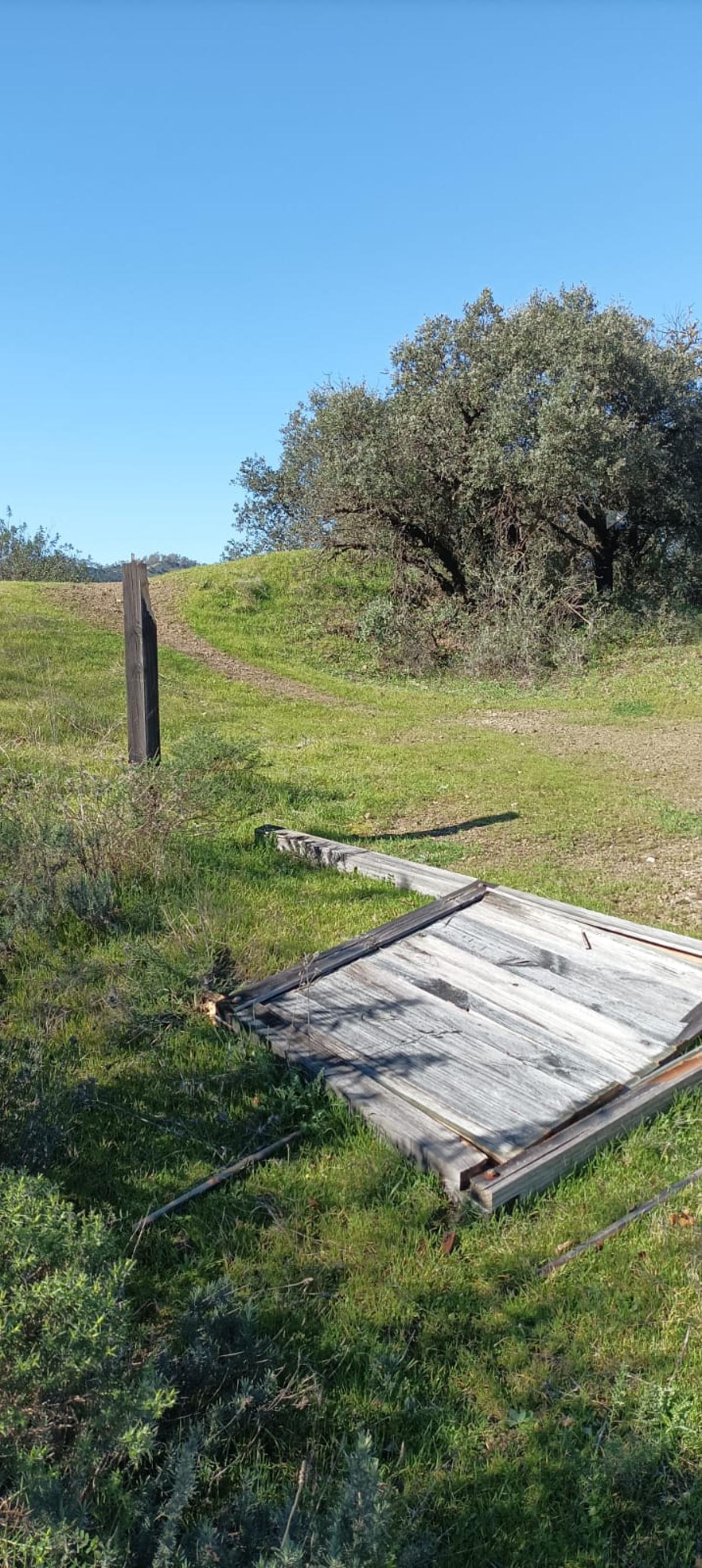 Estado del Sendero de la Memoria de Trassierra.