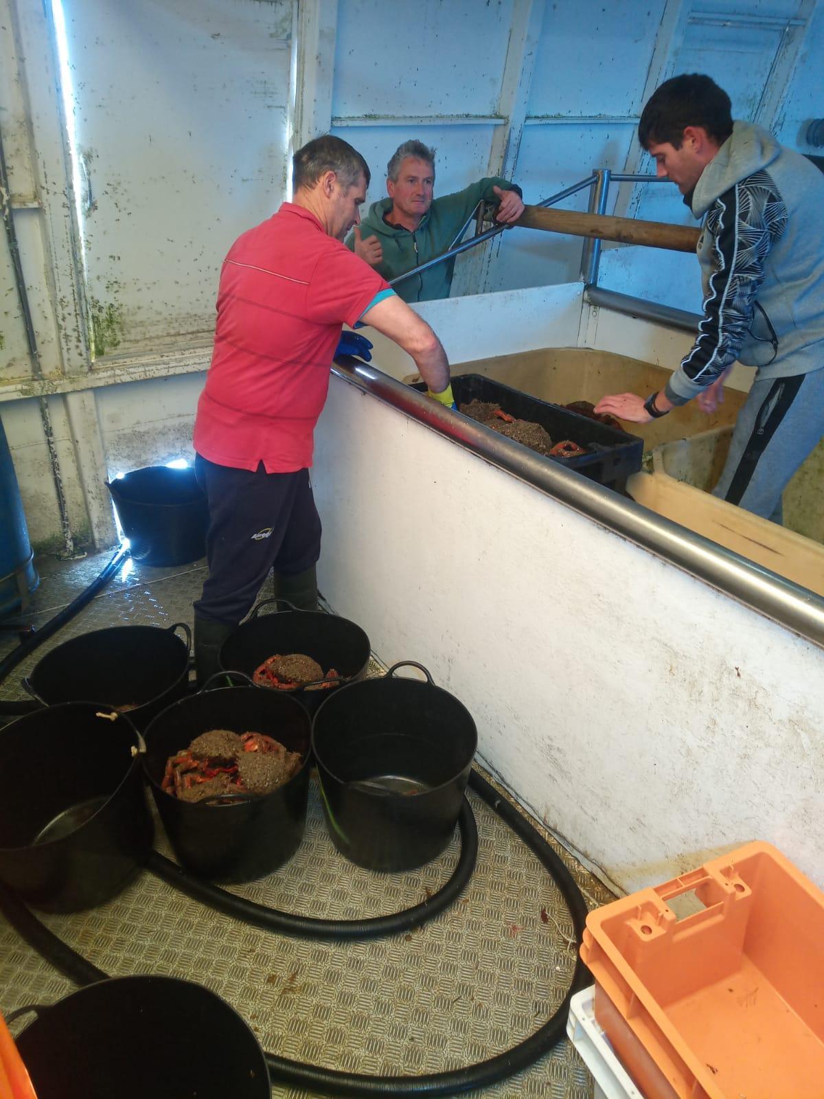 La bodega del barco.