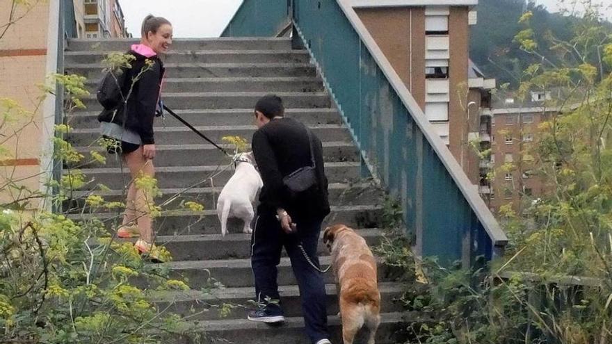 Los vecinos piden el arreglo de la pasarela de Feve