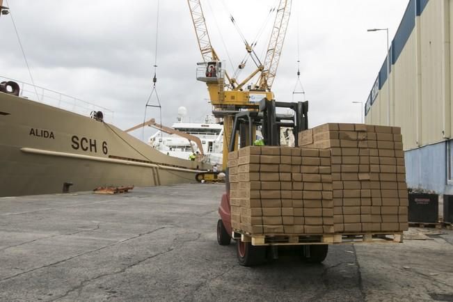 DESCARGA DE PESCA DE MARRUECOS