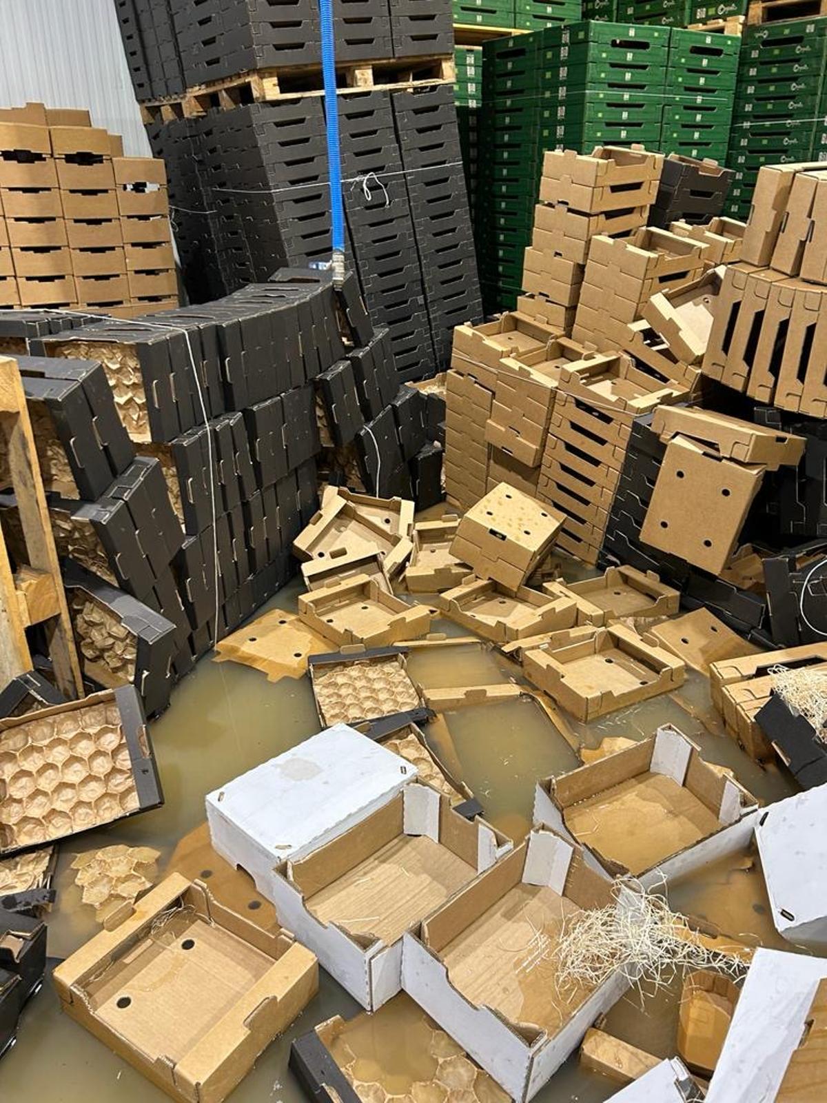 Fotogalería | Cultivos anegados en fincas de Mérida por la sucesión de borrascas