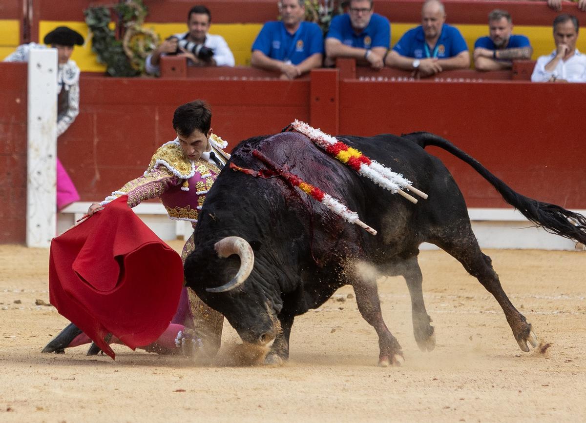 Importante Samuel Navalón en las Hogueras de Alicante