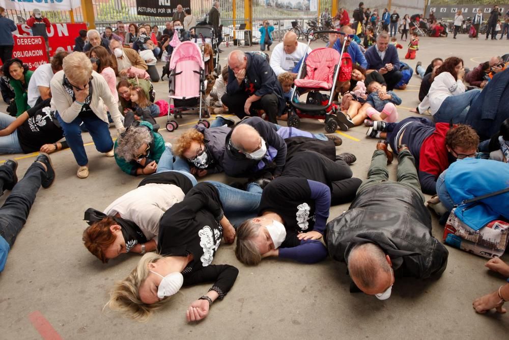 Día Mundial del Medio Ambiente en Gijón